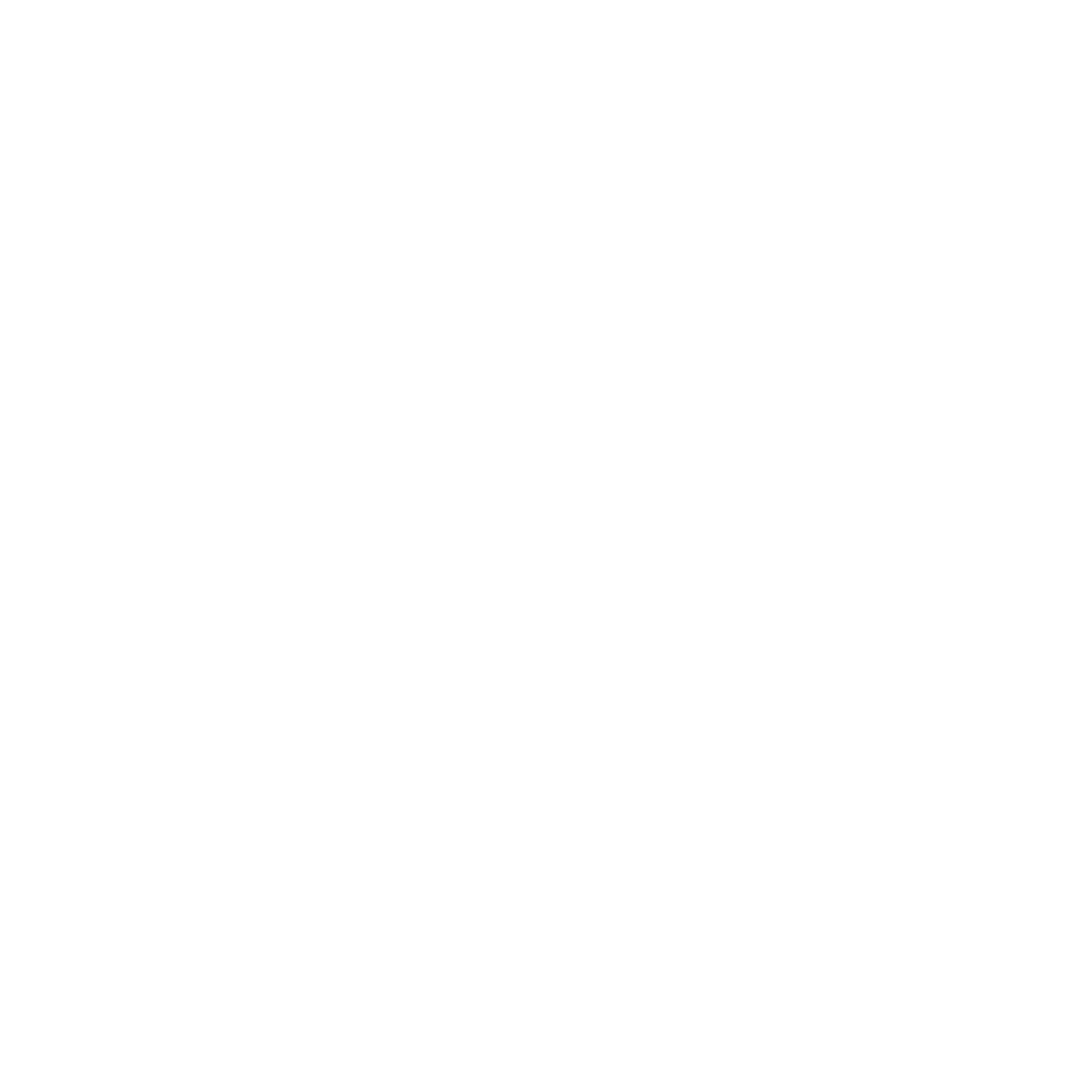 AdhyailogoWhite